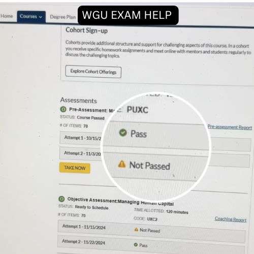 WGU EXAM HELP
